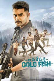 Operation Gold Fish afsomali