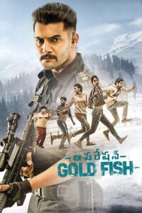 Operation Gold Fish afsomali