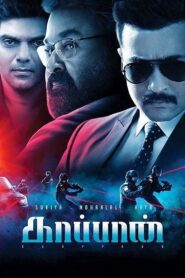 Kaappaan afsomali